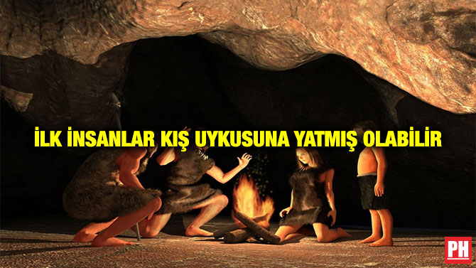 İLK İNSANLAR KIŞ UYKUSUNA YATMIŞ OLABİLİR