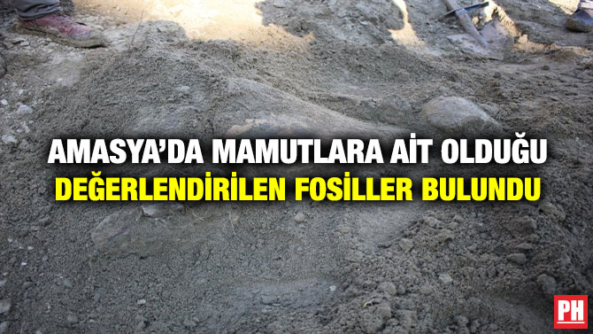 Amasya’da Mamutlara Ait Olduğu Değerlendirilen Fosiller Bulundu