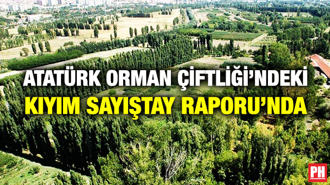 Atatürk Orman Çiftliği’ndeki Kıyım Sayıştay Raporu’nda