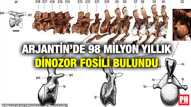 Arjantin’de 98 Milyon Yıllık Dinozor Fosili  Bulundu