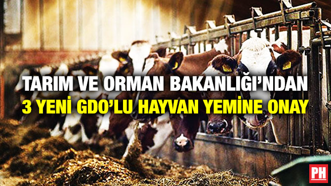 Tarım ve Orman Bakanlığı’ndan 3 Yeni GDO’lu Hayvan Yemine Onay