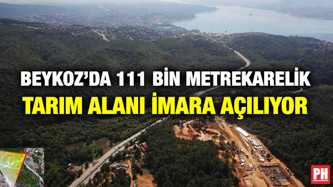 Beykoz’da 111 Bin Metrekarelik Tarım Alanı İmara Açılıyor