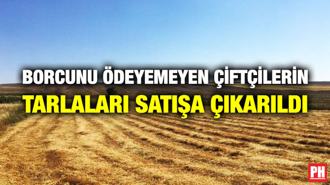  Borcunu Ödeyemeyen Çiftçilerin Tarlaları Satışa Çıkarıldı