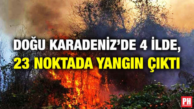 Doğu Karadeniz’de 4 İlde, 23 Noktada Yangın Çıktı