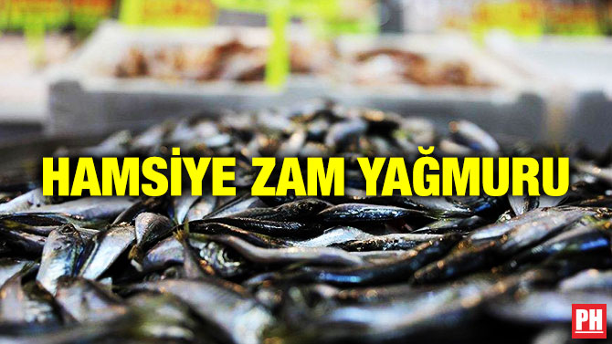 Hamsiye Zam Yağmuru