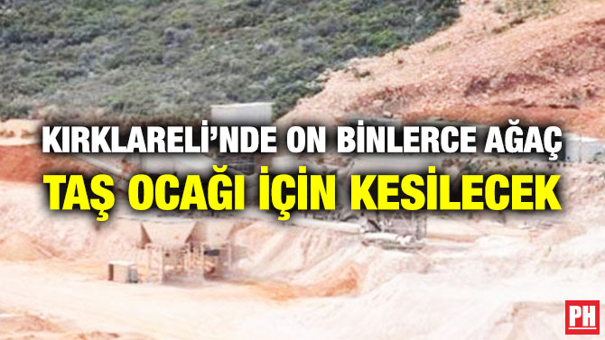 Kırklareli’nde On Binlerce Ağaç Taş Ocağı için Kesilecek