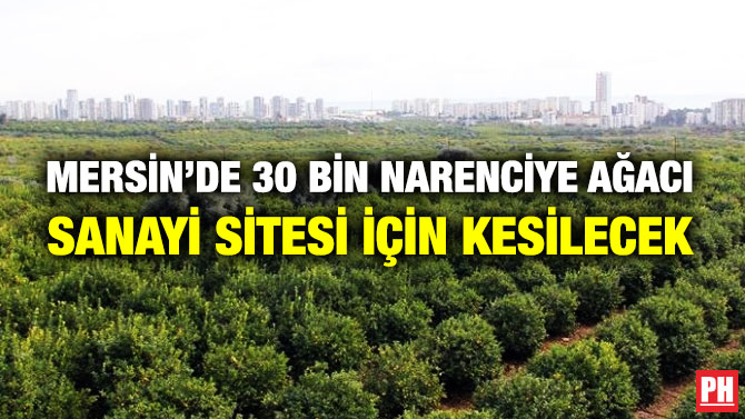 Mersin’de 30 Bin Narenciye Ağacı Sanayi Sitesi için Kesilecek