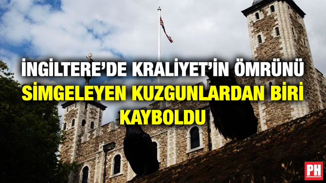 İngiltere’de Kraliyet’in Ömrünü Simgeleyen Kuzgunlardan Biri Kayboldu