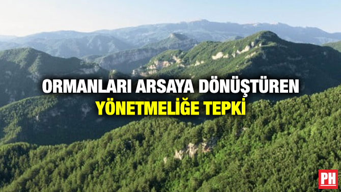 Ormanları Arsaya Dönüştüren Yönetmeliğe Tepki