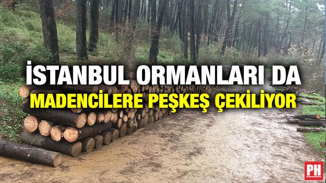 İstanbul Ormanları da Madencilere Peşkeş Çekiliyor