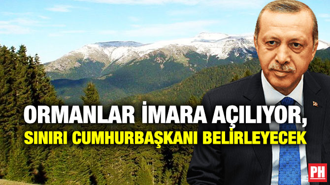Ormanlar İmara Açılıyor, Sınırı Cumhurbaşkanı Belirleyecek