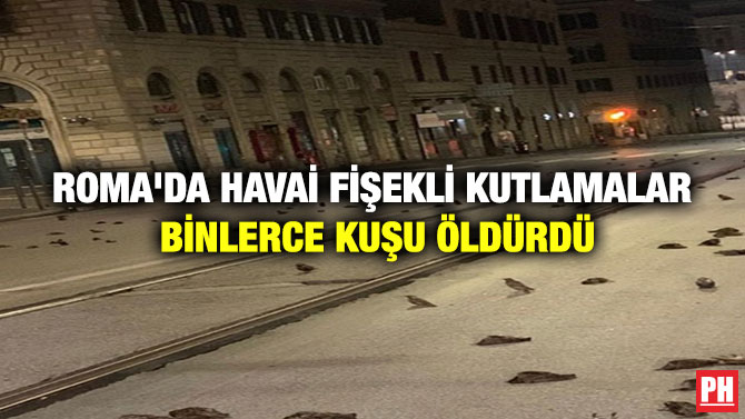 ROMA’DA HAVAİ FİŞEKLİ KUTLAMALAR BİNLERCE KUŞU ÖLDÜRDÜ