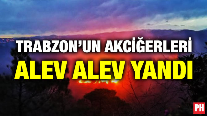 Trabzon’un Akciğerleri Alev Alev Yandı