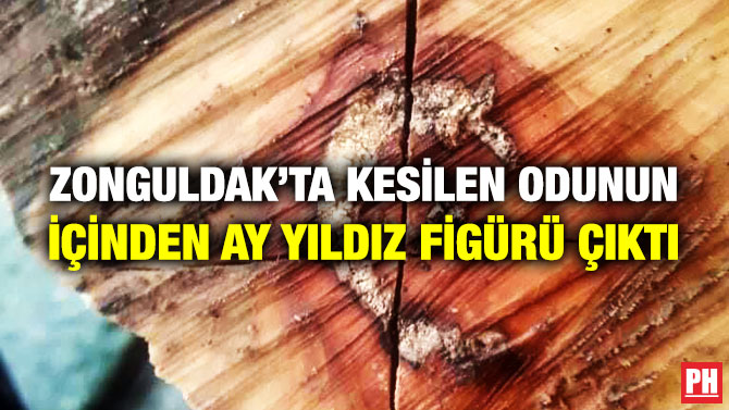 Zonguldak’ta Kesilen Odunun İçinden Ay Yıldız Figürü Çıktı