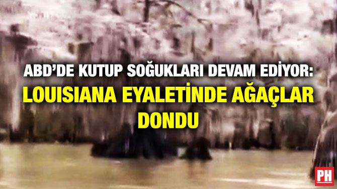 ABD’de Kutup Sağukları Devam Ediyor: Louisiana Eyaletinde Ağaçlar Dondu