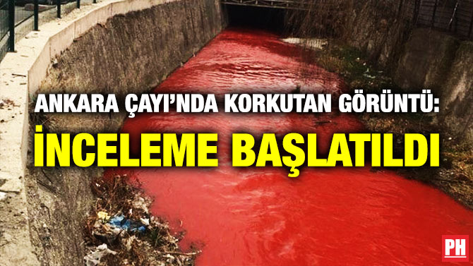 Ankara Çayı’nda Korkutan Görüntü: İnceleme Başlatıldı