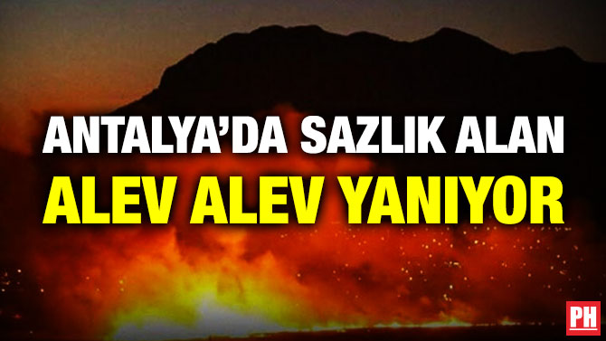Antalya’da Sazlık Alan Alev Yanıyor