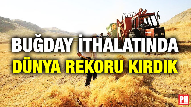 Buğday İthalatında Dünya Rekoru Kırdık
