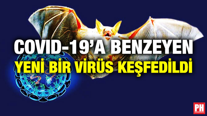 Covid-19’a Benzeyen Yeni Bir Virüs Keşfedildi