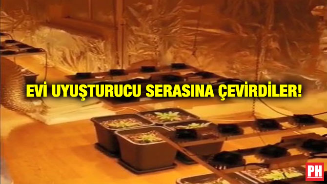 Evi Uyuşturucu Serasına Çevirdiler!
