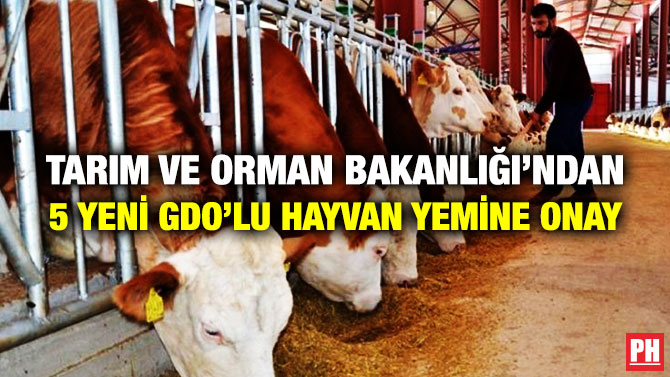 Tarım ve Orman Bakanlığı’ndan 5 Yeni GDO’lu Hayvan Yemine Onay