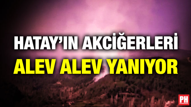 Hatay’ın Akciğerleri Alev Alev Yanıyor