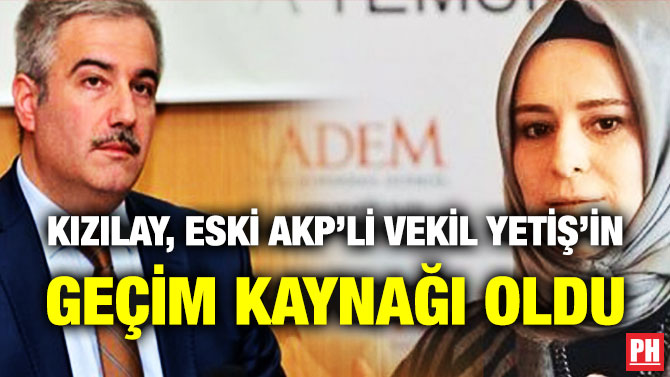Kızılay, Eski AKP’li Vekil Yetiş’in Geçim Kaynağı Oldu