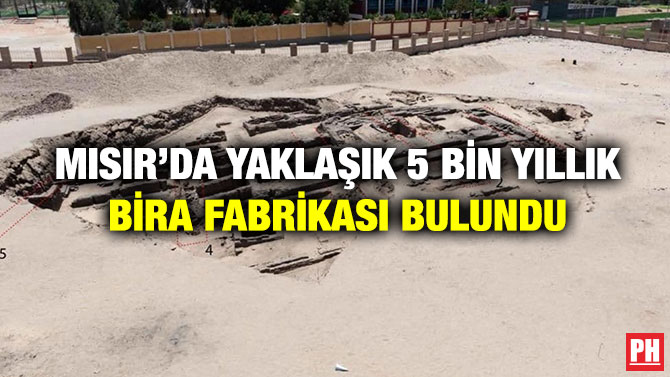 Mısır’da Yaklaşık 5 Bin Yıllık Bira Fabrikası Bulundu