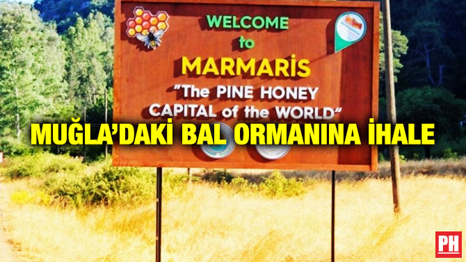 Muğla’daki Bal Ormanına İhale