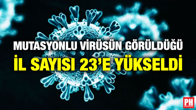 Mutasyonlu Virüsün Görüldüğü İl Sayısı 23’e Yükseldi