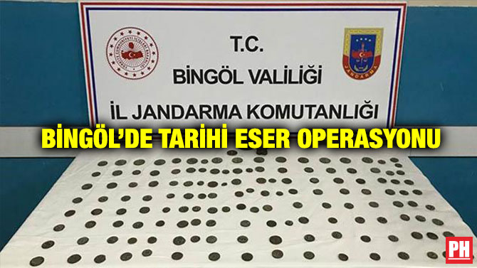Bingöl’de Tarihi Eser Operasyonu