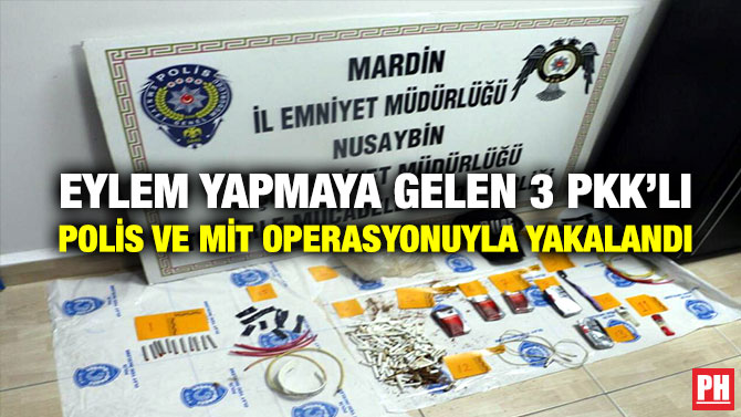 Eylem Yapmaya Gelen 3 PKK’lı  Polis ve Mit Operasyonuyla Yakalandı