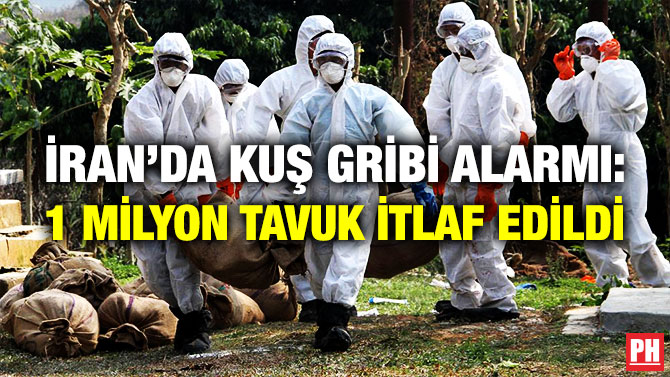 İran’da Kuş Gribi Alarmı: 1 Milyon Tavuk İtlaf Edildi