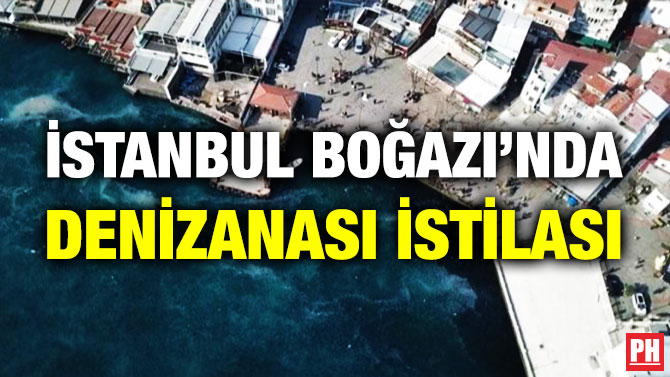 İstanbul Boğazı’nda Denizanası İstilası
