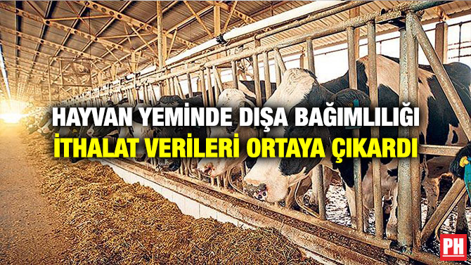 Hayvan Yeminde Dışa Bağımlılığı İthalat Verileri Ortaya Çıkardı