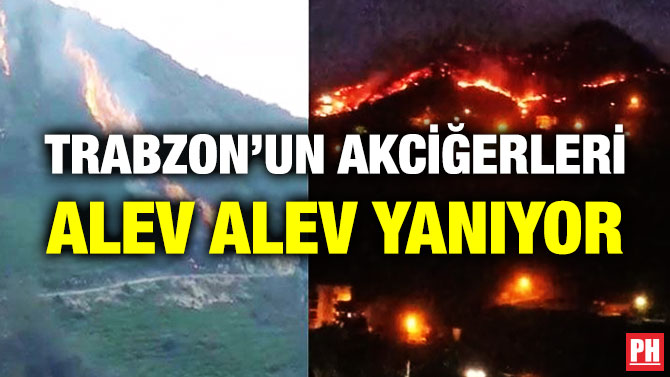 Trabzon’un Akciğerleri Alev Alev Yanıyor