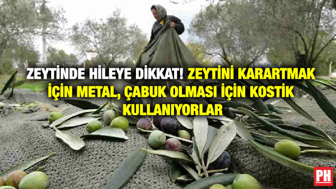 Zeytinde Hileye Dikkat! Zeytini Karartmak İçin Metal, Çabuk Olması İçin Kostik Kullanıyorlar