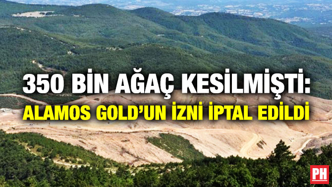 350 Bin Ağaç Kesilmişti: Alamos Gold’un İzni İptal Edildi