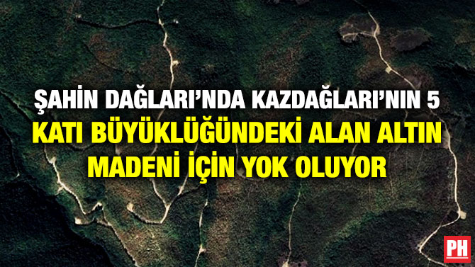 Şahin Dağları’nda Kazdağları’nın Beş Katı Büyüklüğündeki Alan Altın Madeni için Yok Oluyor