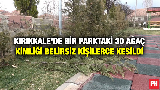 Kırıkkale’de Bir Parktaki 30 Ağaç Kimliği Belirsiz Kişilerce Kesildi