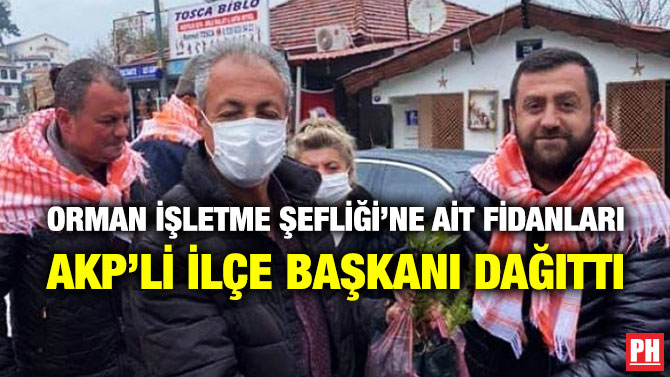 Orman İşletme Şefliği’ne ait Fidanları AKP’li İlçe Başkanı Dağıttı