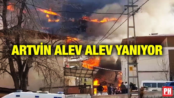 Artvin Alev Alev Yanıyor