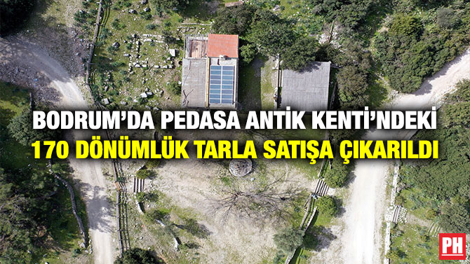 Bodrum’da Pedasa Antik Kenti’ndeki 170 Dönümlük Tarla Satışa Çıkarıldı