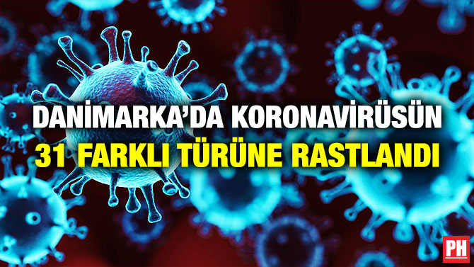 Danimarka’da Koronavirüsün 31 Farklı Türüne Rastlandı