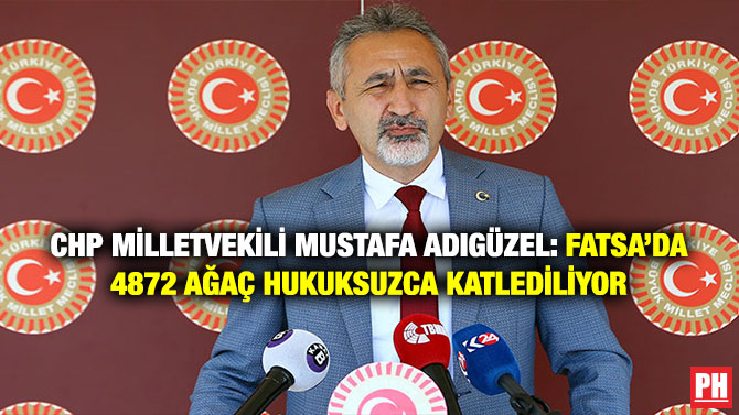 CHP Milletvekili Mustafa Adıgüzel: Fatsa’da 4872 Ağaç Hukuksuzca Katlediliyor