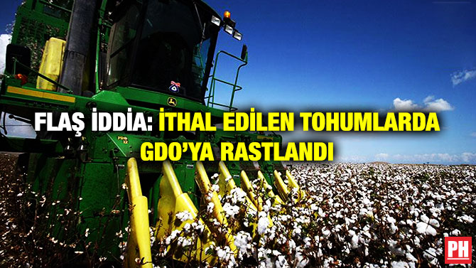 Flaş İddia: İthal Edilen Tohumlarda GDO’ya Rastlandı