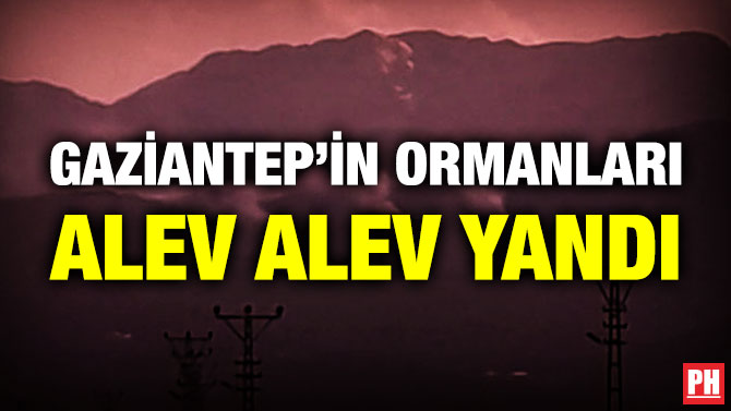 Gaziantep’in Ormanları Alev Alev Yandı
