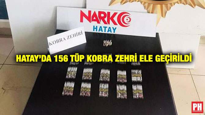 Hatay’da 156 Tüp Kobra Zehri Ele Geçirildi