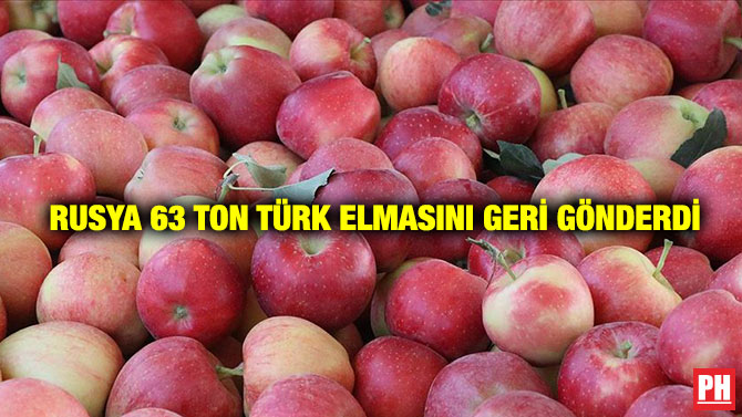 Rusya 63 Ton Türk Elmasını Geri Gönderdi