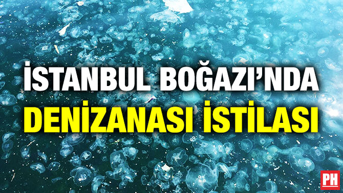 İstanbul Boğazı’nda Denizanası İstilası